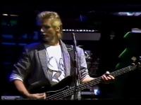 Click here to view the full-size image