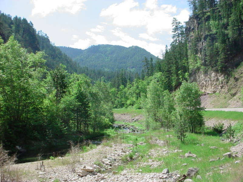 Taken by waterdragon687 in the vicinity of Spearfish, South Dakota, June 2005 - please do not reproduce without permission