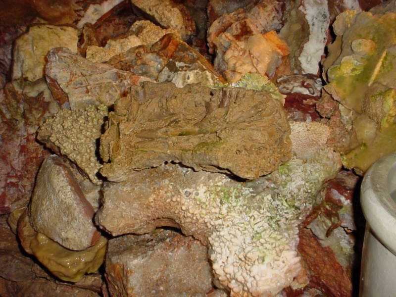 Taken by waterdragon687 in the vicinity of Spearfish, South Dakota, June 2005 - please do not reproduce without permission